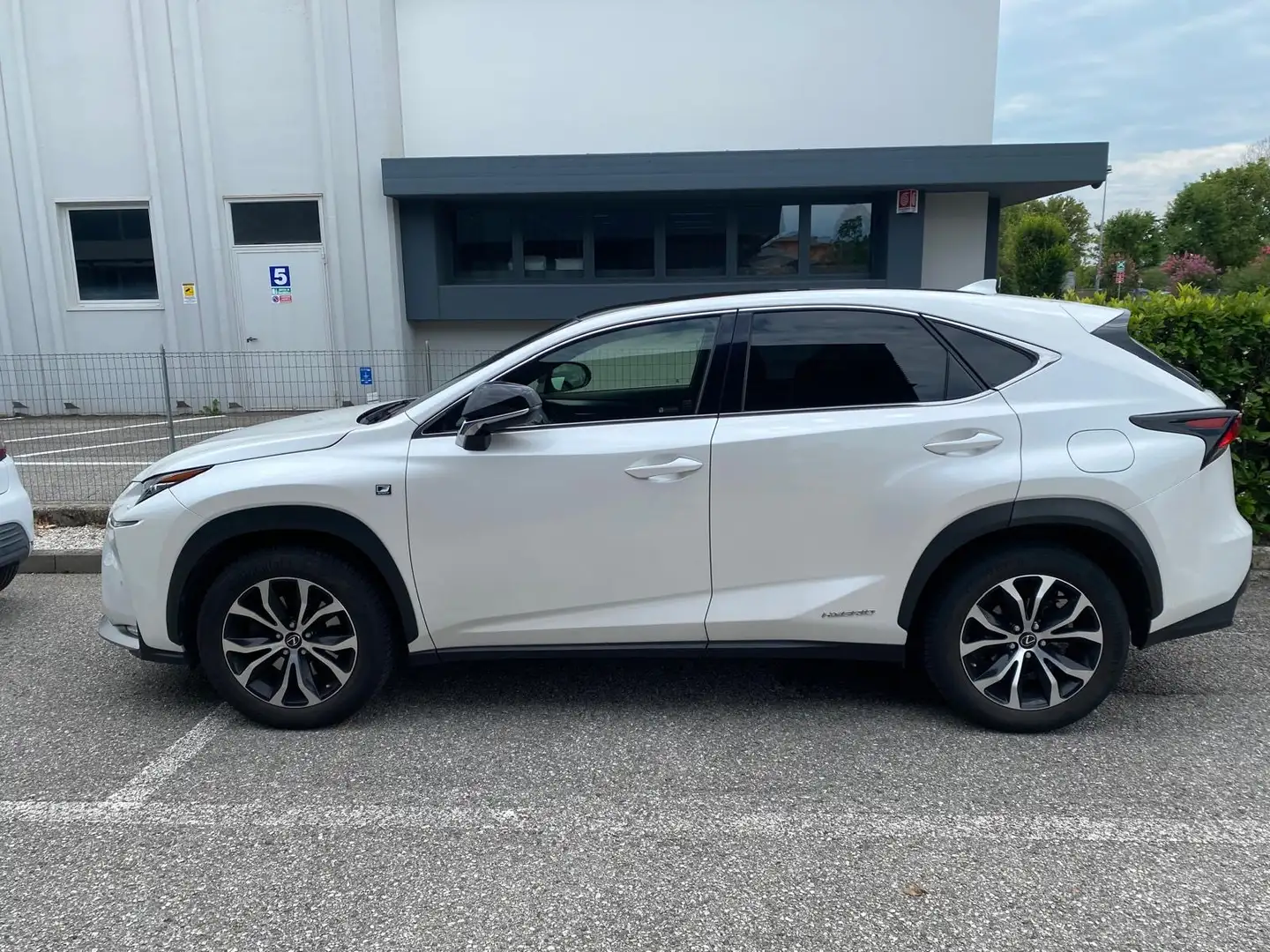 Lexus NX 300h F sport Blanc - 2