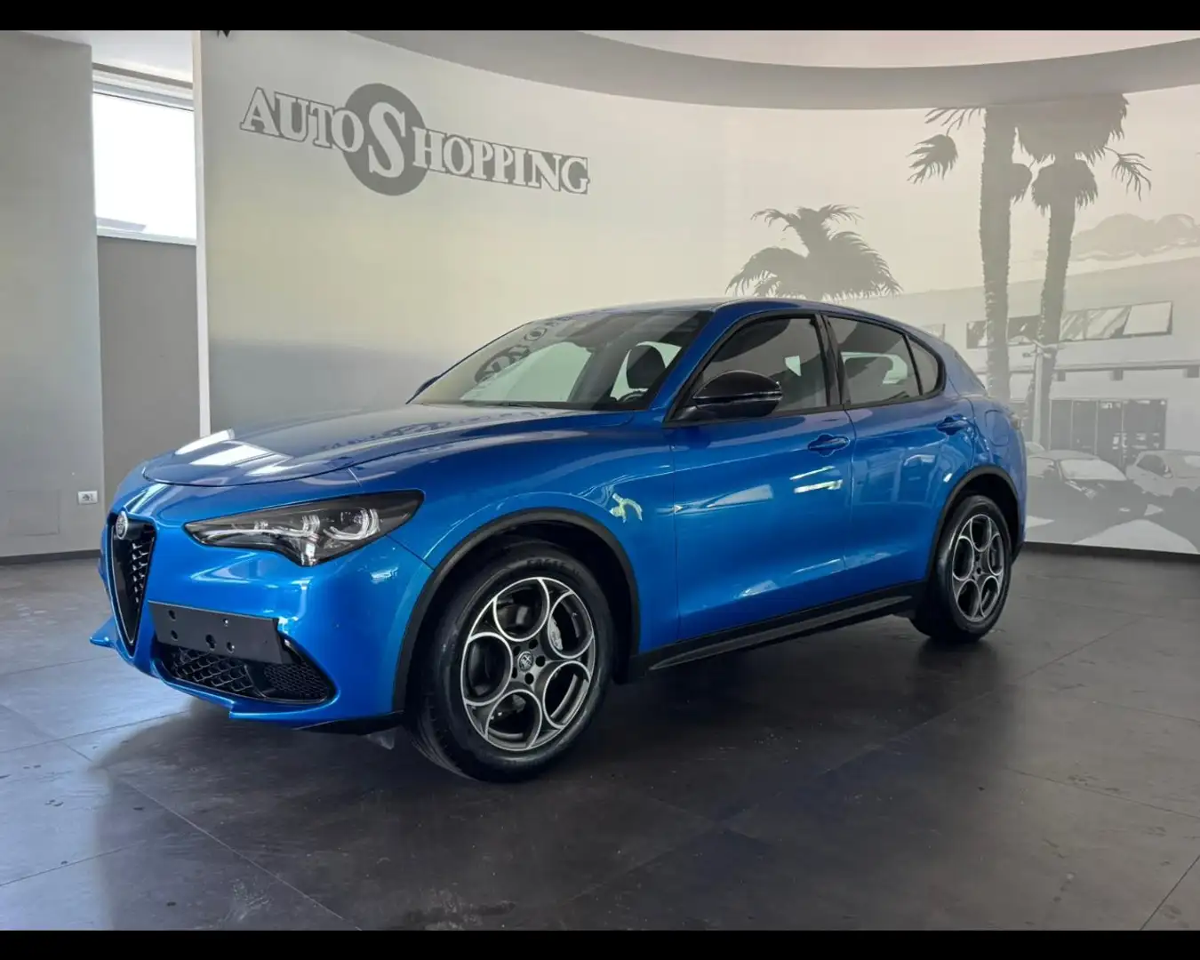 Alfa Romeo Stelvio 2.2 Turbodiesel 160 CV AT8 RWD Super Blu/Azzurro - 1