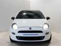 Fiat Punto 1.2 8v Pop 67 CV Gasolina Blanco - thumbnail 13
