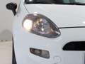 Fiat Punto 1.2 8v Pop 67 CV Gasolina Blanco - thumbnail 15