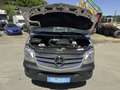 Mercedes-Benz Sprinter 319 cdi V6 Allrad 4x4 Doka+Pritsche Grau - thumbnail 16