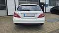 Mercedes-Benz CLS CLS 63 AMG Shooting Brake *B&O*Kamera*Sitzklima* Weiß - thumbnail 9