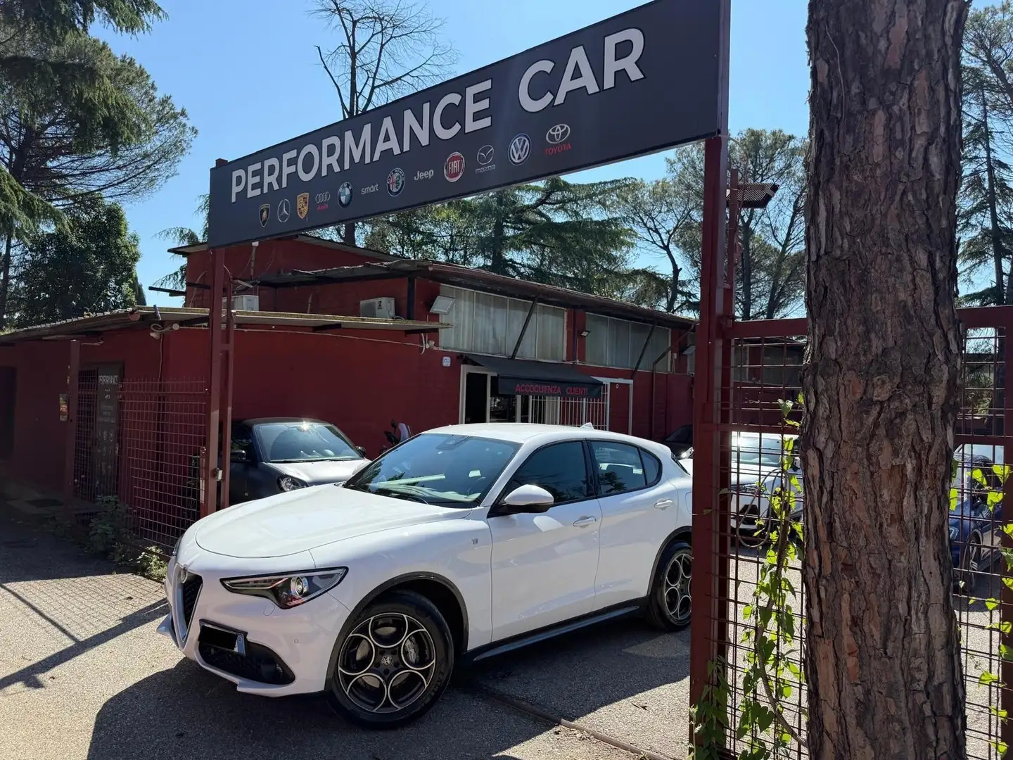 Alfa Romeo Stelvio 2.2 Turbodiesel 210 CV AT8 Q4 Ti Bianco - 1