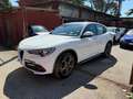 Alfa Romeo Stelvio 2.2 Turbodiesel 210 CV AT8 Q4 Ti Bianco - thumbnail 3