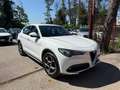 Alfa Romeo Stelvio 2.2 Turbodiesel 210 CV AT8 Q4 Ti Bianco - thumbnail 5