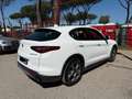 Alfa Romeo Stelvio 2.2 Turbodiesel 210 CV AT8 Q4 Ti Bianco - thumbnail 6