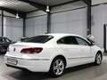 Volkswagen CC 1.4 TSI DSG SPORTLINE WHITE / XENON / NAVI+ Blanco - thumbnail 10