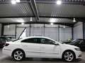 Volkswagen CC 1.4 TSI DSG SPORTLINE WHITE / XENON / NAVI+ Blanco - thumbnail 8