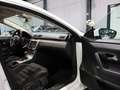 Volkswagen CC 1.4 TSI DSG SPORTLINE WHITE / XENON / NAVI+ Blanco - thumbnail 20