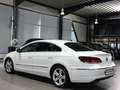Volkswagen CC 1.4 TSI DSG SPORTLINE WHITE / XENON / NAVI+ Blanco - thumbnail 9