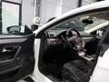 Volkswagen CC 1.4 TSI DSG SPORTLINE WHITE / XENON / NAVI+ Blanco - thumbnail 13