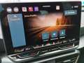 CUPRA Terramar 1.5 eTSI 110 DSG Gris - thumbnail 13