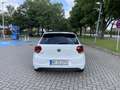 Volkswagen Polo GTI GTI Weiß - thumbnail 6