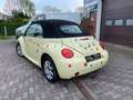 Volkswagen New Beetle Cabriolet 1.6 Yellow - thumbnail 8