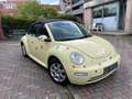 Volkswagen New Beetle Cabriolet 1.6 Yellow - thumbnail 3