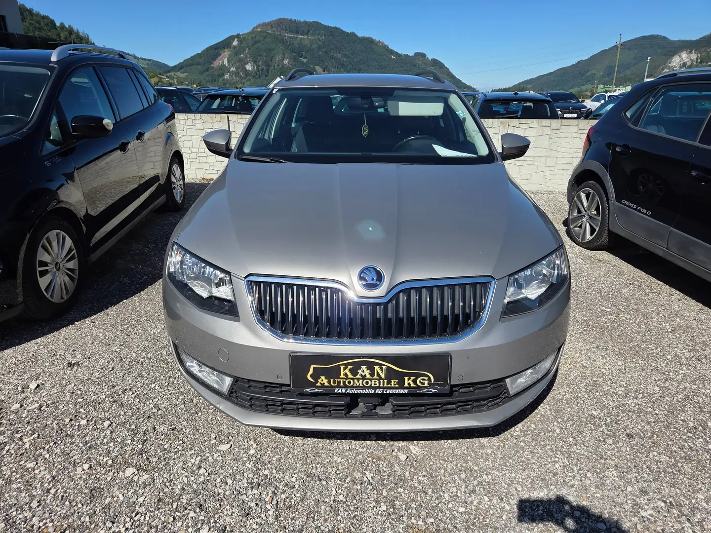 Skoda Octavia Octavia Combi 1,6 TDI 4x4 Ambition Ambition Braun - 2