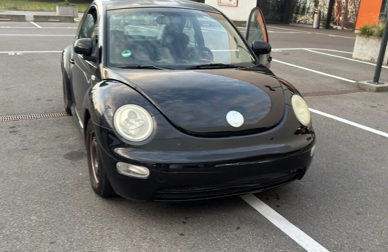 Volkswagen New Beetle 2.0, foto 1
