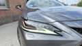 Lexus ES 300 300h F SPORT - thumbnail 6