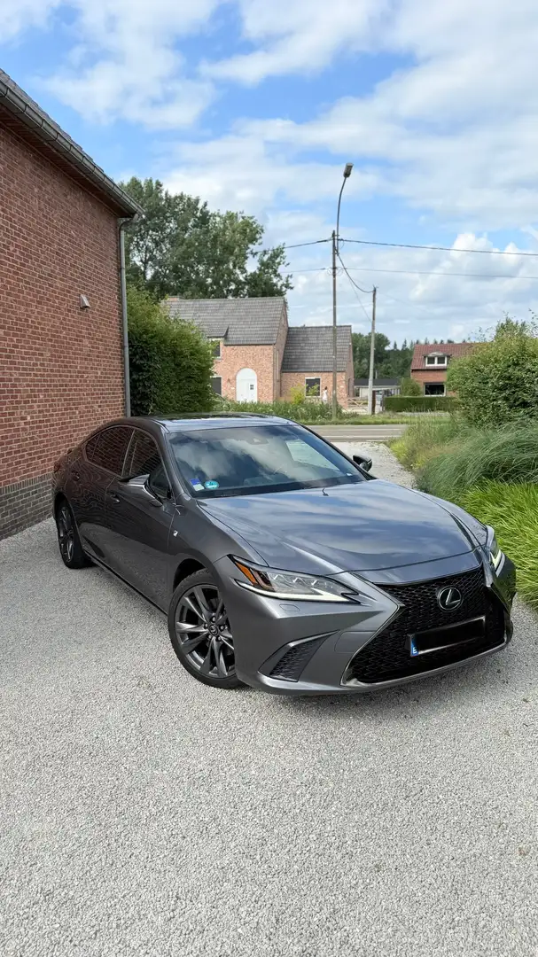 Lexus ES 300 300h F SPORT - 2