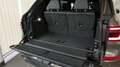 BMW X7 xDrive40d 48V M-Sportpaket Pro Grün - thumbnail 10