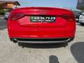 Audi A5 Coupé 3.0TDI quattro S-Tronic 245 Rojo - thumbnail 21