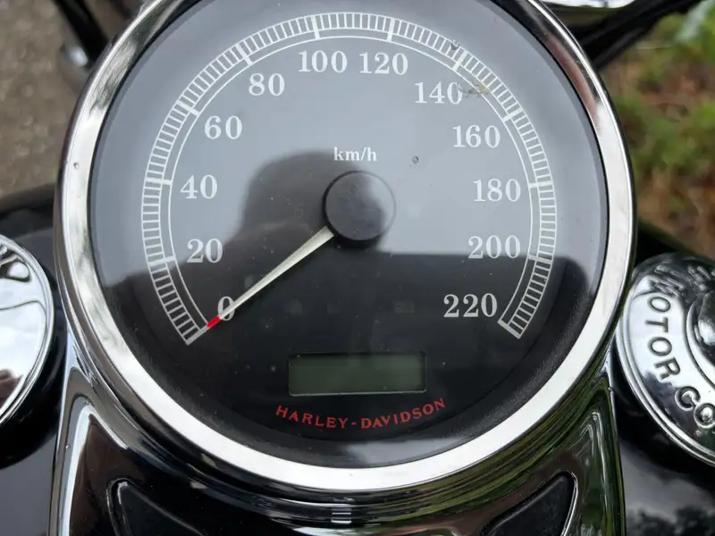 Harley-Davidson Heritage - foto 6