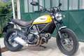 Ducati Scrambler 800 classic Galben - thumbnail 1