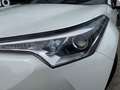 Toyota C-HR 1.2 Executive *Trekhaak & ACC* Wit - thumbnail 17