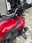 Benelli TRK 502 Rouge - thumbnail 5