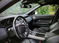 Land Rover Range Rover Evoque Range Rover Evoque 5p 2.0 si4 Dynamic auto Bianco - thumbnail 6