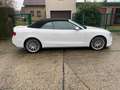Audi A5 Cabriolet 2.0 TDI  Quattro S-Line AHK Weiß - thumbnail 6