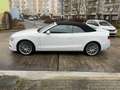 Audi A5 Cabriolet 2.0 TDI  Quattro S-Line AHK Weiß - thumbnail 3