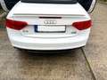Audi A5 Cabriolet 2.0 TDI  Quattro S-Line AHK Weiß - thumbnail 11