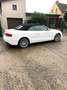 Audi A5 Cabriolet 2.0 TDI  Quattro S-Line AHK Weiß - thumbnail 7