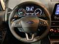 Ford EcoSport Titanium 1.0 EcoBoost | PDC | GJR | BLIS | WI-PKT. Gri - thumbnail 13