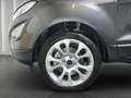 Ford EcoSport Titanium 1.0 EcoBoost | PDC | GJR | BLIS | WI-PKT. Gri - thumbnail 9