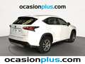 Lexus NX 300 300h Executive 4WD Tecno + Navibox Blanco - thumbnail 4