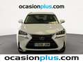 Lexus NX 300 300h Executive 4WD Tecno + Navibox Blanco - thumbnail 17