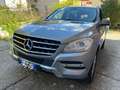 Mercedes-Benz ML 250 ML 250 BlueTEC 4Matic Premium Stříbrná - thumbnail 1