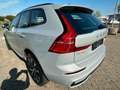 Volvo XC60 XC60 Plus Dark AWD Grau - thumbnail 6