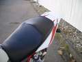 Honda CB 1300 Rouge - thumbnail 8