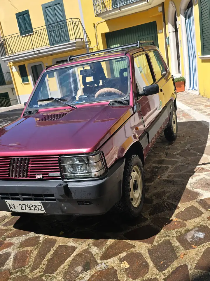 Fiat Panda 1.0 Sisley 4x4, foto 2