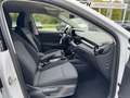 Skoda Fabia Selection 1.0TSI*LED*RFK* Wit - thumbnail 13