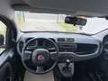 Fiat Panda Base Orange - thumbnail 9