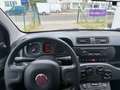 Fiat Panda Base Orange - thumbnail 14