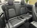 Mercedes-Benz C 220 d Cabrio AMG-LINE/AMBIENTE/LEDER/RFK Grau - thumbnail 32