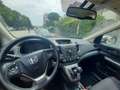 Honda CR-V Bianco - thumbnail 6