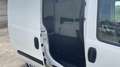 Fiat Doblo Doblò 1.6 MJT 105CV PC­TN Cargo - PREZZO+IV Weiß - thumbnail 15