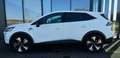 Mitsubishi Grandis 1,3 Petrol Intense S+C+T 26 Weiß - thumbnail 3