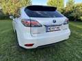 Lexus RX 450h 4WD Hybrid Blanc - thumbnail 5